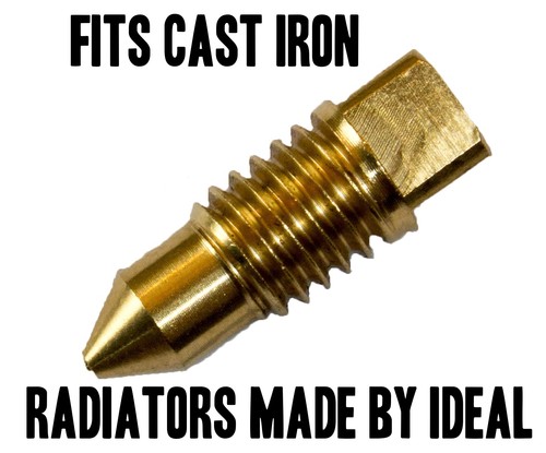 Radiator brass bleed screw - screw, air
